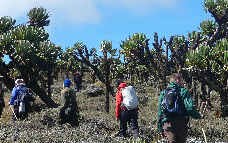 5-Day-Mount-Elgon-National-Park-Expedition